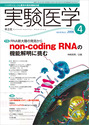 non-coding RNAの機能解明に挑む