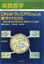 DNAトランスアクションと核ダイナミクス