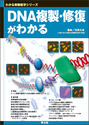 DNA複製・修復がわかる（わかる実験医学シリーズ）