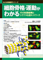 細胞骨格・運動がわかるその制御機構とシグナル伝達ネットワーク （わかる実験医学シリーズ）