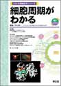 細胞周期がわかる（わかる実験医学シリーズ）