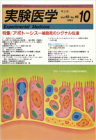 実験医学1992年　Vol.10 No.16