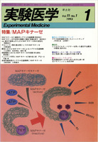 実験医学:MAPキナーゼ 羊土社