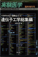 臨時増刊号　Vol.5 No.11