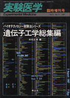 臨時増刊号　Vol.5 No.11