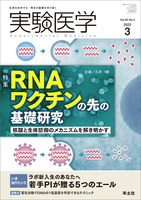 実験医学　2022年3月号　Vol.xxNoxx No.XxNoxX