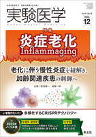 炎症老化　Inflammaging