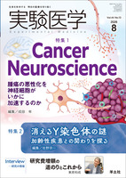 特集1：Cancer Neuroscience　腫瘍の悪性化を神経細胞がいかに加速するのか／特集2：消えるY染色体の謎　加齢性疾患との関わりを探る