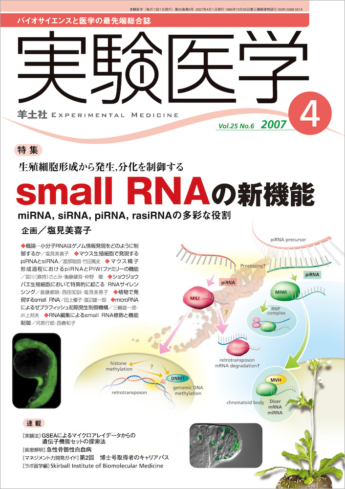 実験医学：生殖細胞形成から発生，分化を制御する small RNAの新機能〜miRNA，siRNA，piRNA，rasiRNAの多彩な役割