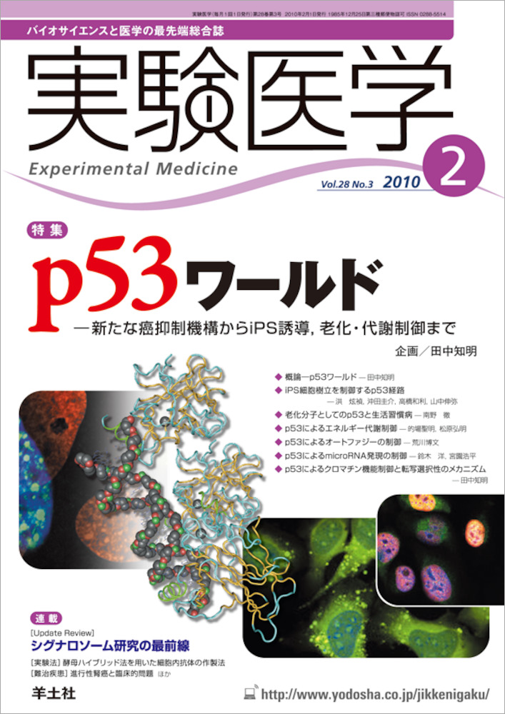 実験医学：p53ワールド〜新たな癌抑制機構からiPS誘導，老化・代謝制御まで