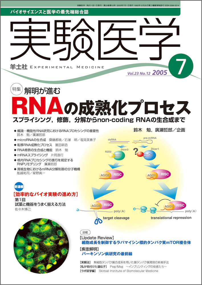 実験医学：解明が進む RNAの成熟化プロセス