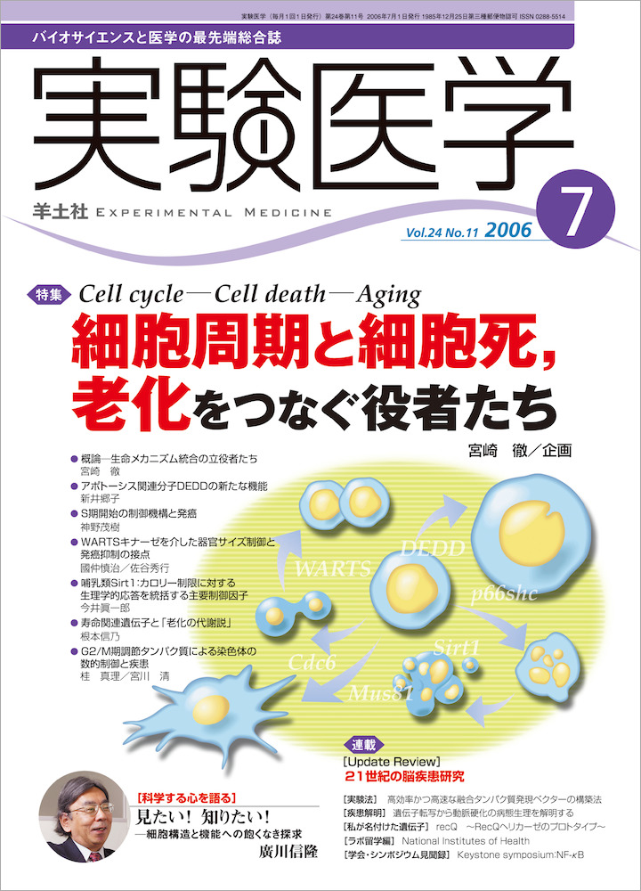 実験医学：Cell cycle—Cell death—Aging 細胞周期と細胞死，老化をつなぐ役者たち