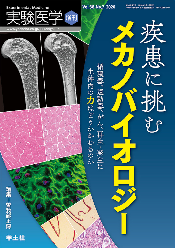 実験医学増刊：疾患に挑むメカノバイオロジー〜循環器、運動器、がん、再生・発生に生体内の力はどうかかわるのか