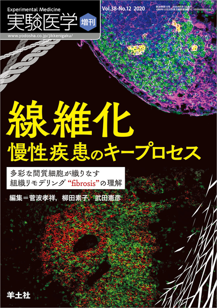 実験医学増刊：線維化　慢性疾患のキープロセス〜多彩な間質細胞が織りなす組織リモデリング“fibrosis”の理解