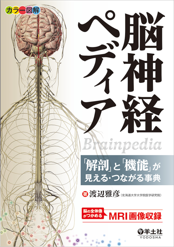 カラー図解 脳神経ペディア〜「解剖」と「機能」が見える・つながる事典