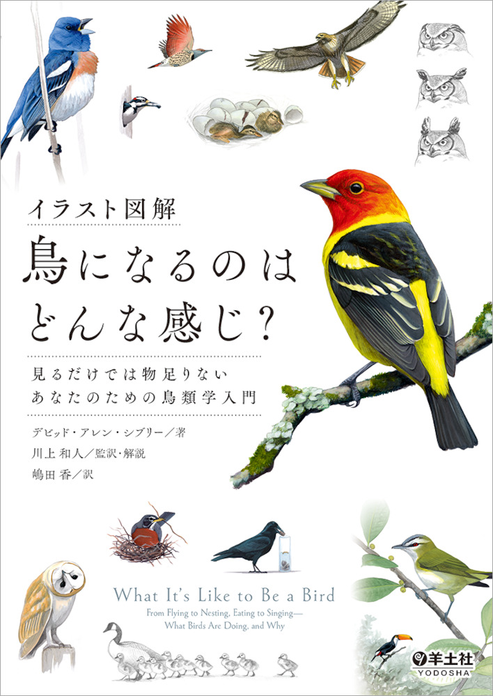 イラスト図解 鳥になるのはどんな感じ 見るだけでは物足りないあなたのための鳥類学入門 羊土社