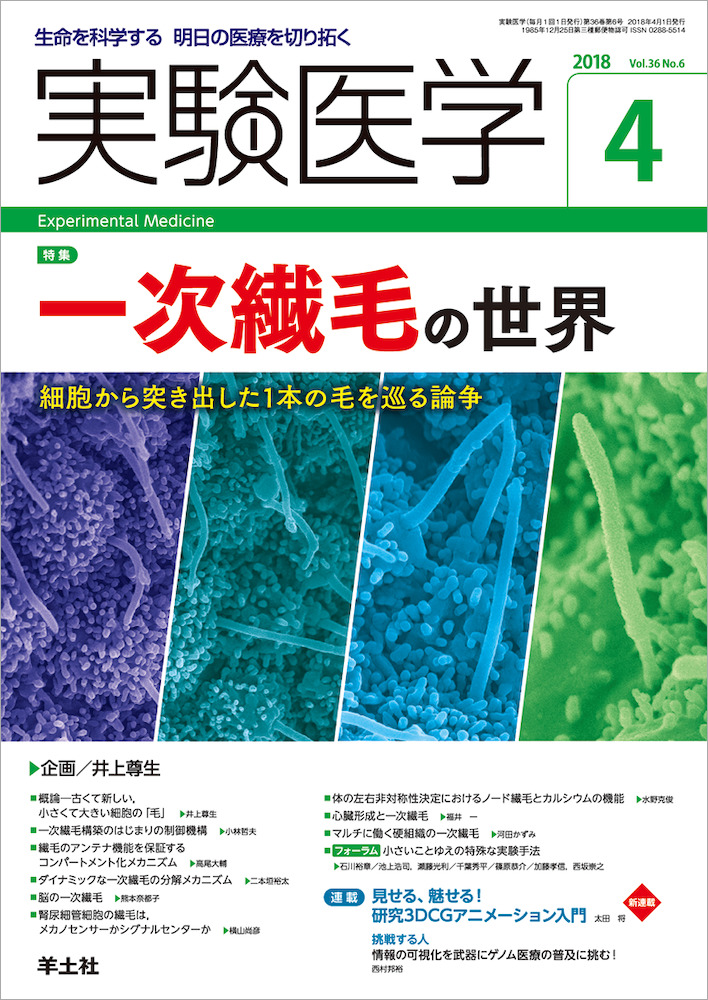 実験医学：一次繊毛の世界〜細胞から突き出した1本の毛を巡る論争