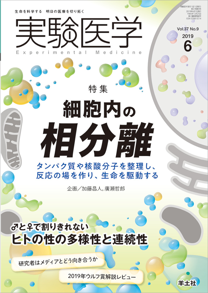 実験医学：細胞内の相分離〜タンパク質や核酸分子を整理し、反応の場を作り、生命を駆動する