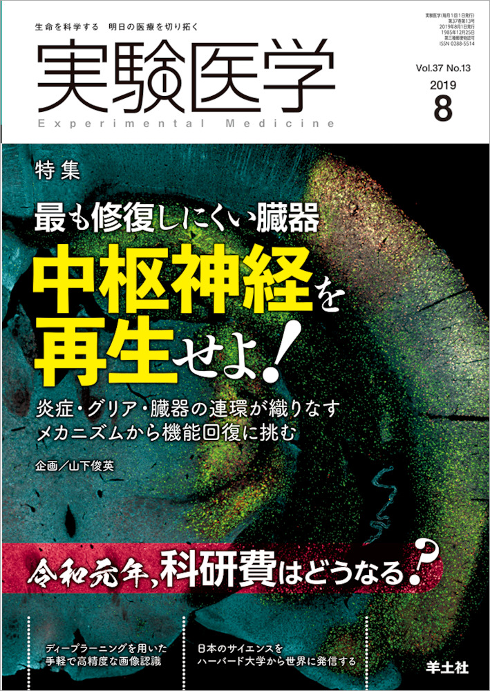 実験医学：最も修復しにくい臓器　中枢神経を再生せよ！〜炎症・グリア・臓器の連環が織りなすメカニズムから機能回復に挑む