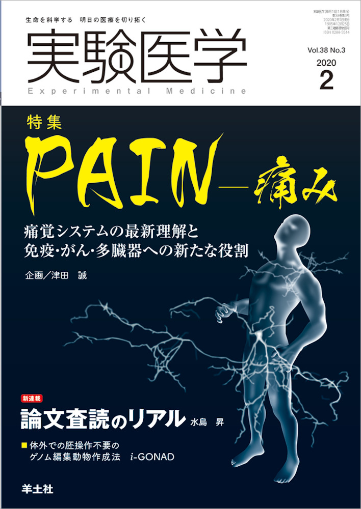 実験医学：PAIN—痛み〜痛覚システムの最新理解と免疫・がん・多臓器への新たな役割