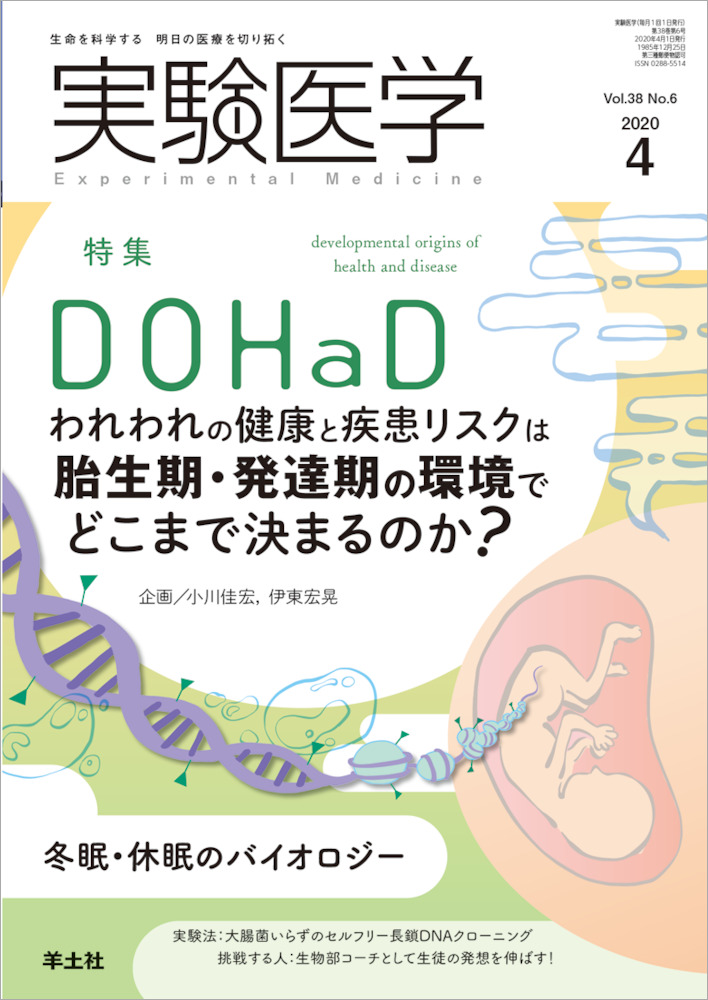 実験医学：DOHaD—われわれの健康と疾患リスクは胎生期・発達期の環境で 