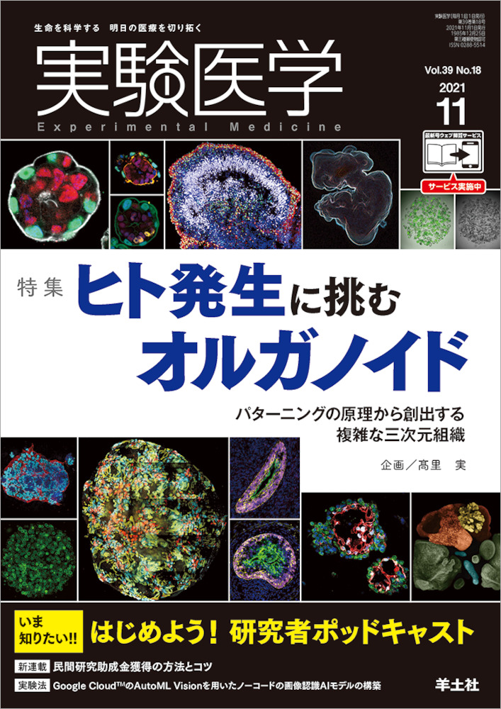 実験医学：ヒト発生に挑むオルガノイド〜パターニングの原理から創出する複雑な三次元組織