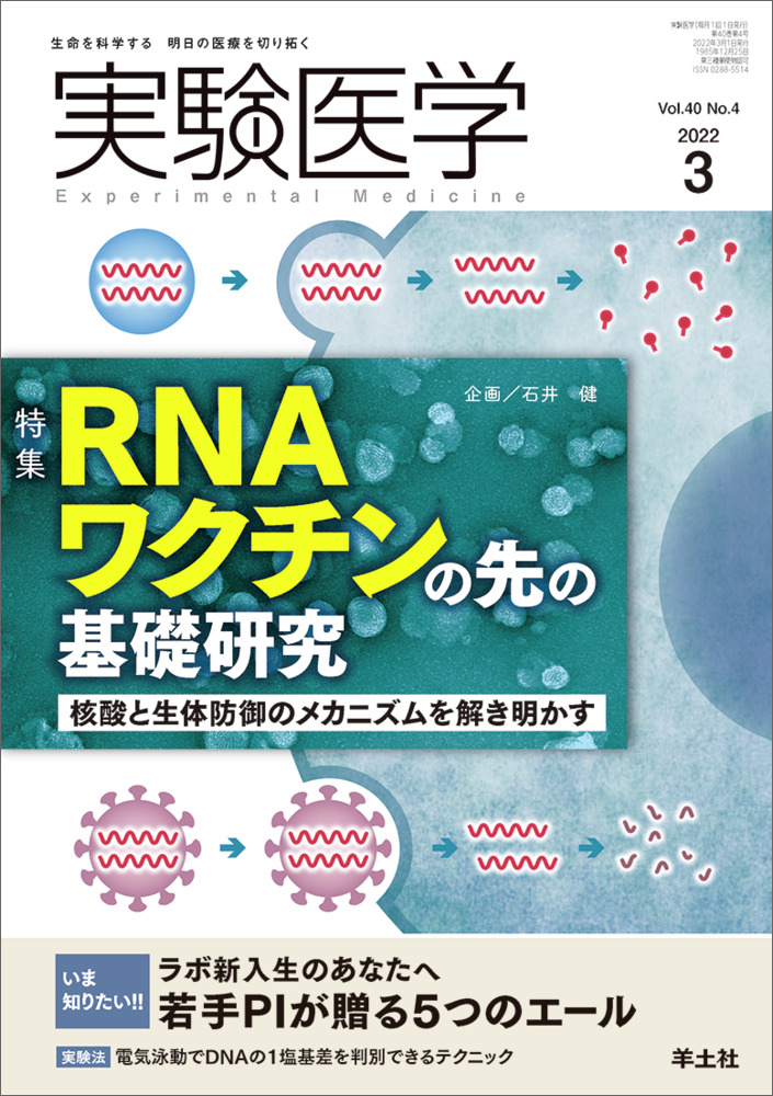 実験医学：RNAワクチンの先の基礎研究〜核酸と生体防御のメカニズムを解き明かす