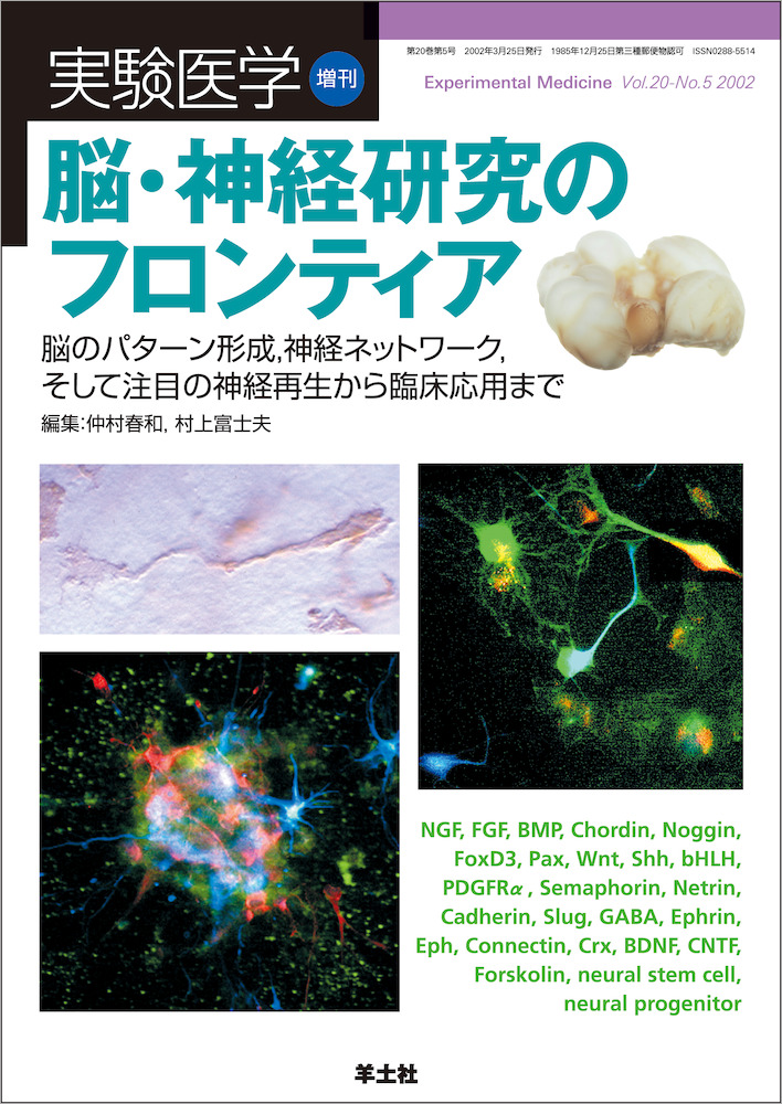 実験医学増刊：脳・神経研究のフロンティア〜脳のパターン形成，神経ネットワーク，そして注目の神経再生から臨床応用まで