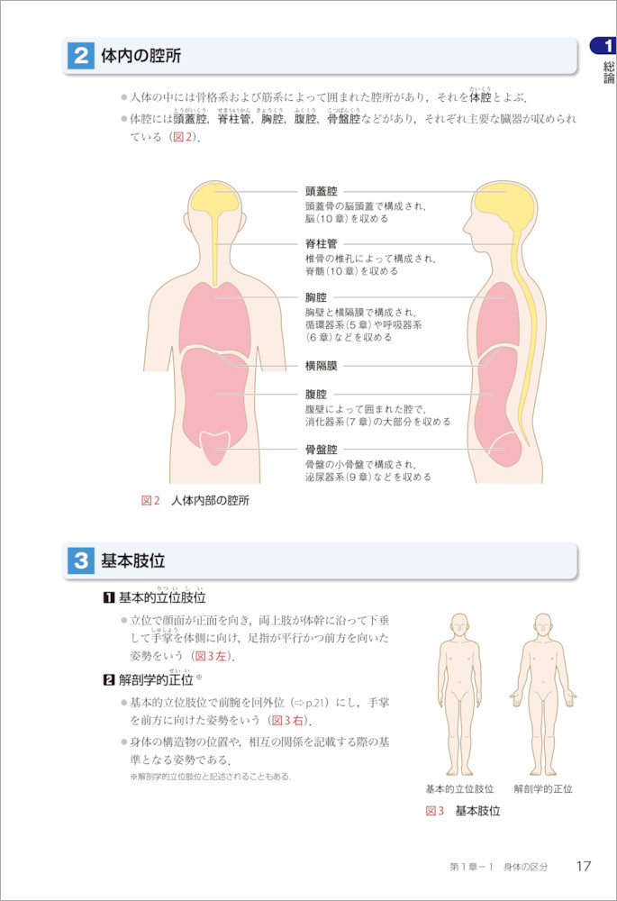 Pt Otビジュアルテキスト専門基礎 解剖学 羊土社