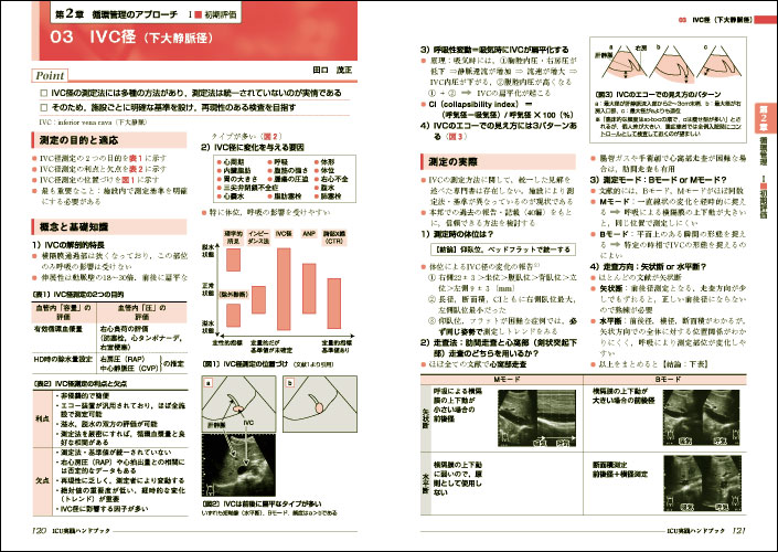 ICU実践ハンドブック〜病態ごとの治療・管理の進め方 - 羊土社