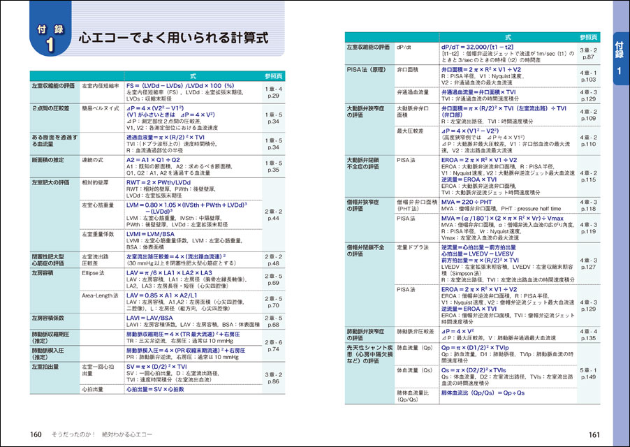 心 エコー 略語