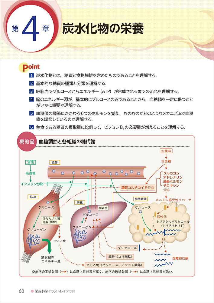 栄養科学イラストレイテッド 基礎栄養学 第３版 羊土社