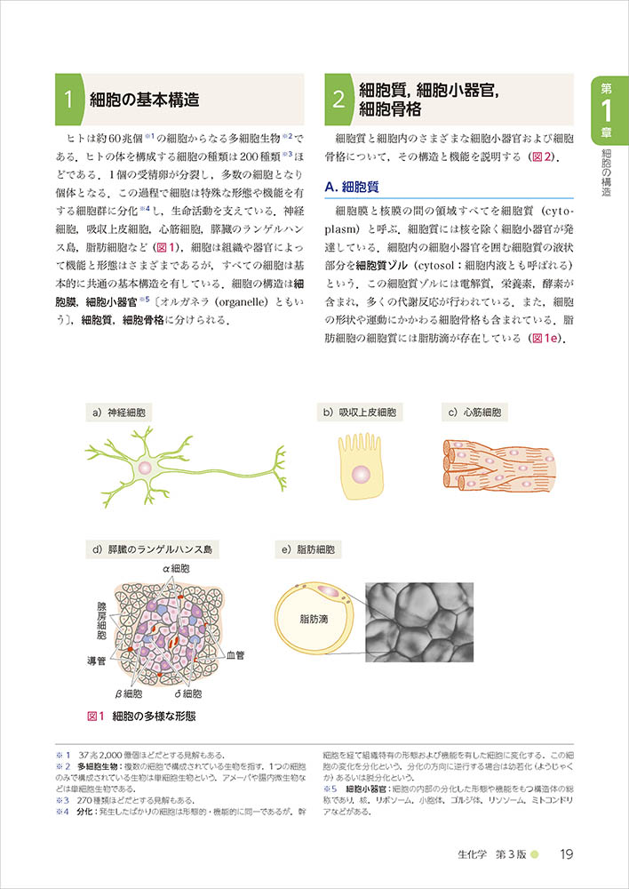 栄養科学イラストレイテッド 生化学 第３版 羊土社