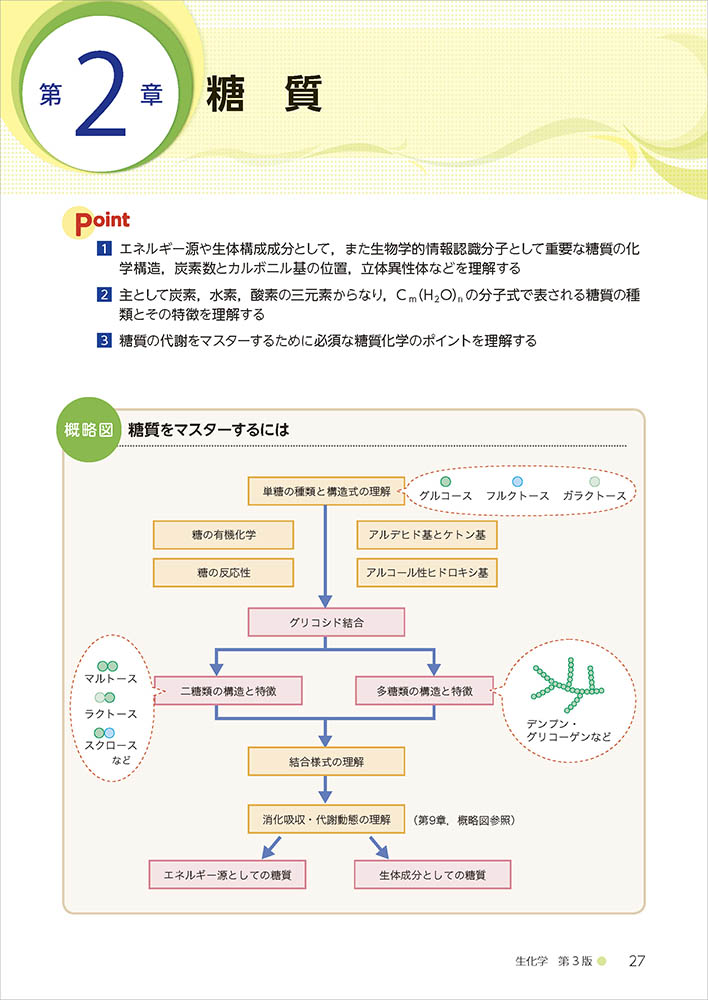 栄養科学イラストレイテッド：生化学 第３版 - 羊土社