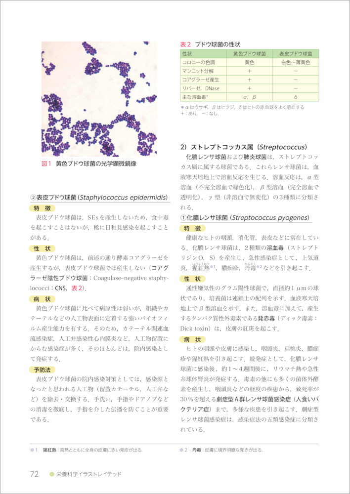 栄養科学イラストレイテッド 微生物学 羊土社