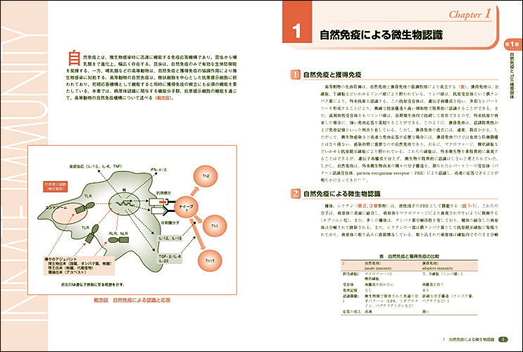 イラストレイテッドシリーズ 改訂第2版 免疫学最新イラストレイテッド 羊土社