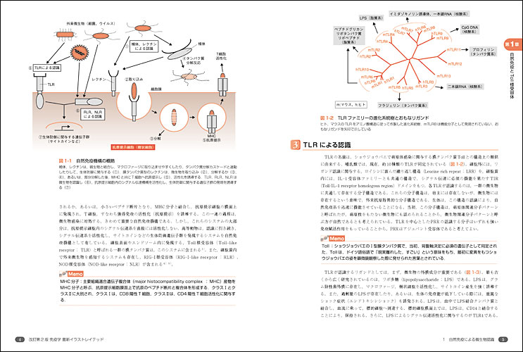 イラストレイテッドシリーズ 改訂第2版 免疫学最新イラストレイテッド 羊土社