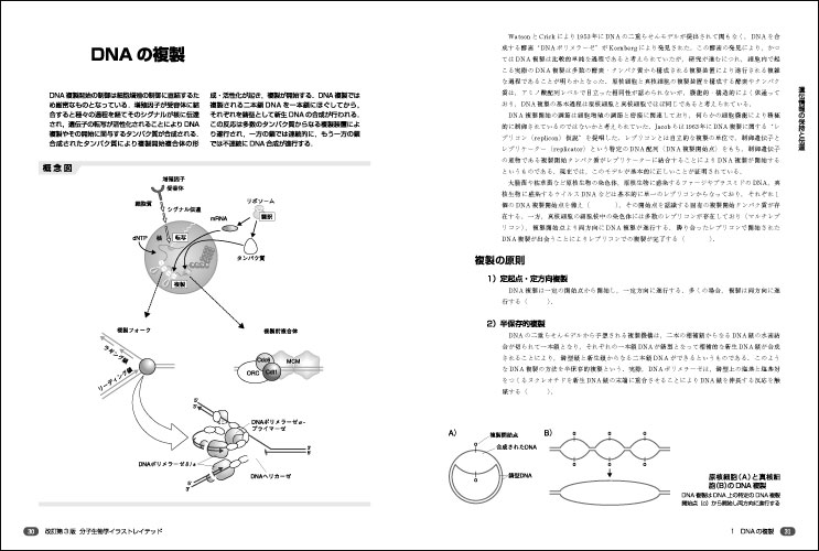 イラストレイテッドシリーズ 改訂第3版 分子生物学イラストレイテッド 羊土社