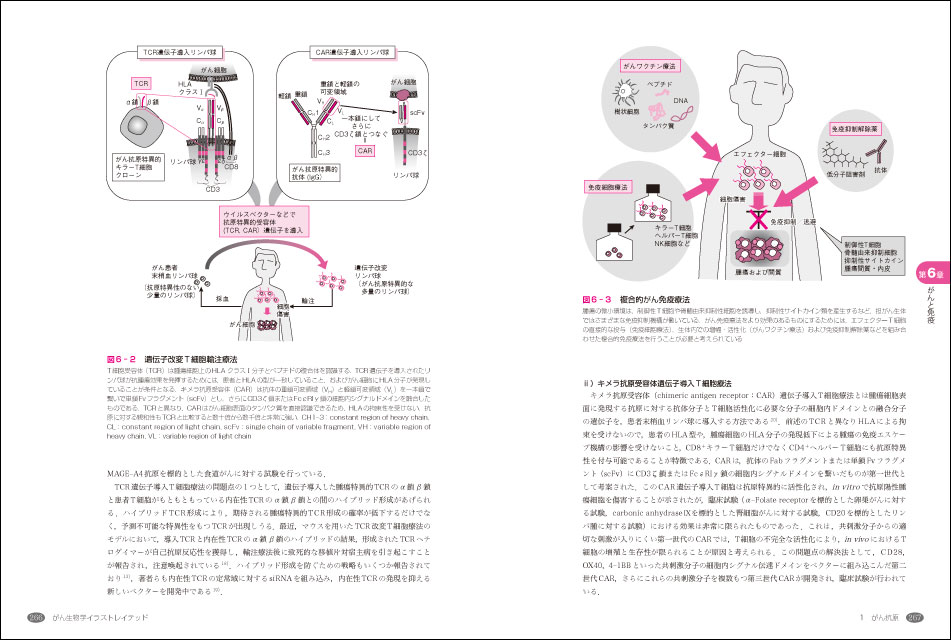 イラストレイテッドシリーズ がん生物学イラストレイテッド 羊土社