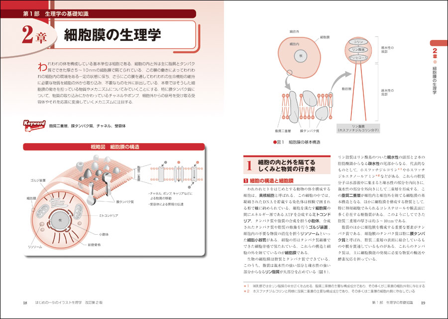 はじめの一歩のイラスト生理学 改訂第2版 羊土社