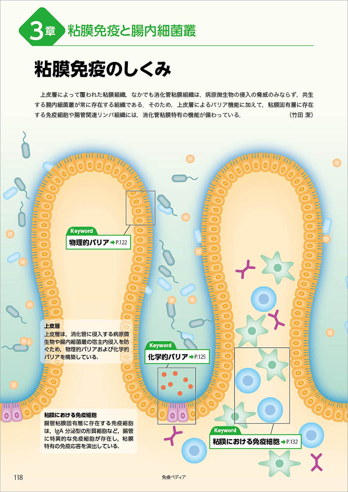 免疫ペディア 101のイラストで免疫学 臨床免疫学に強くなる 羊土社