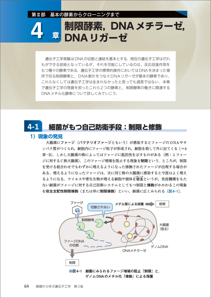 UG27-125 Gnoble 高1〜3 生物 細胞/生態系/遺伝子/代謝/進化/系統(a講義・解答)等 テキストセット 2020/2021 70M0D