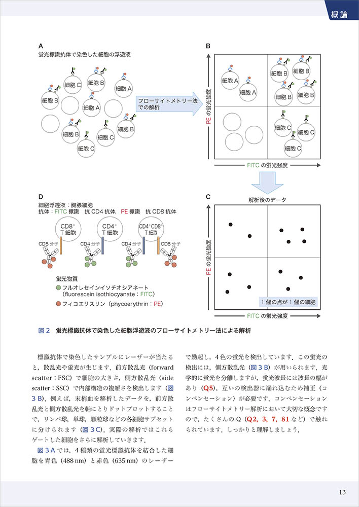 フロー サイト メトリー