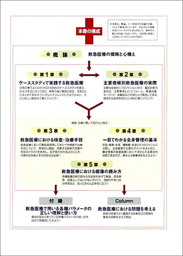 救急医療パーフェクトマニュアル〜あらゆる角度から救急医療をマスターするための完全実用ガイド - 羊土社