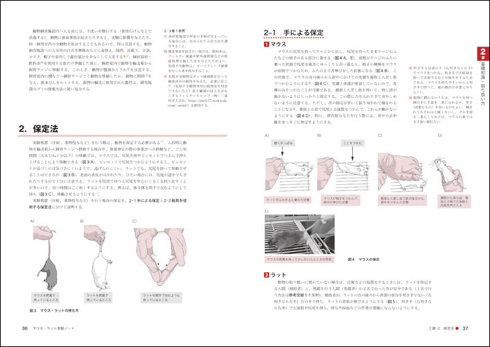 無敵のバイオテクニカルシリーズ マウス ラット実験ノート はじめての取り扱い 飼育法から投与 解剖 分子生物学的手法まで 羊土社