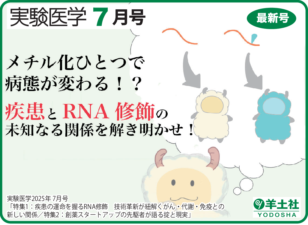実験医学 2025年7月号 Vol.43 No.11POP