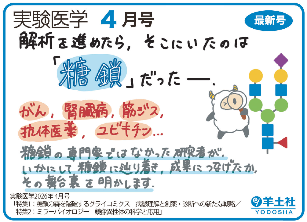 実験医学2026年4月号 Vol.44 No.6POP