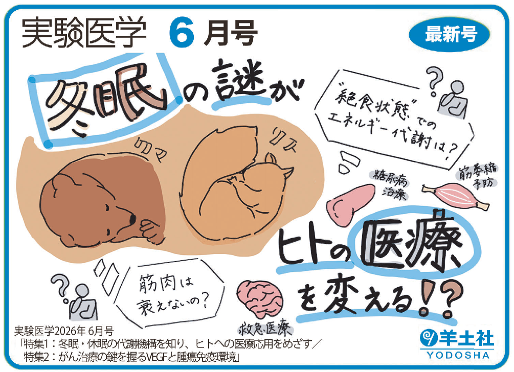 実験医学2026年6月号 Vol.44 No.9POP