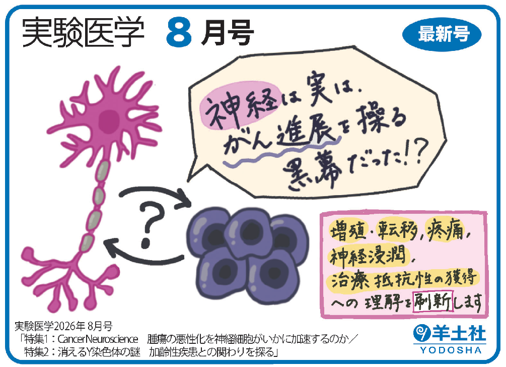 実験医学2026年8月号 Vol.44 No.13POP
