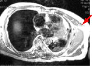 画像を差し替えて下さい